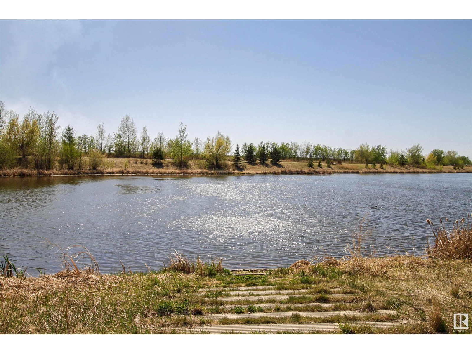 30 Laderoute Pl, St. Albert, Alberta  T8N 7R2 - Photo 71 - E4435115