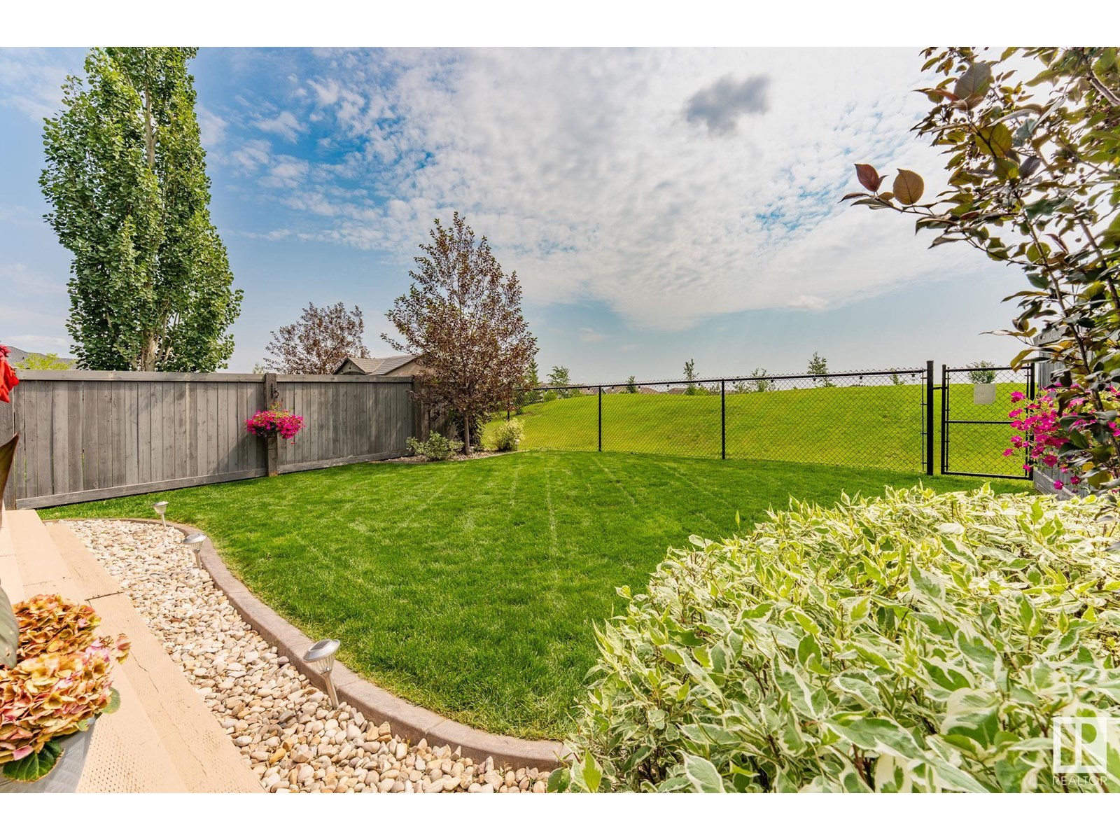 41 Dittrich Av, Fort Saskatchewan, Alberta  T8L 0N4 - Photo 36 - E4444385