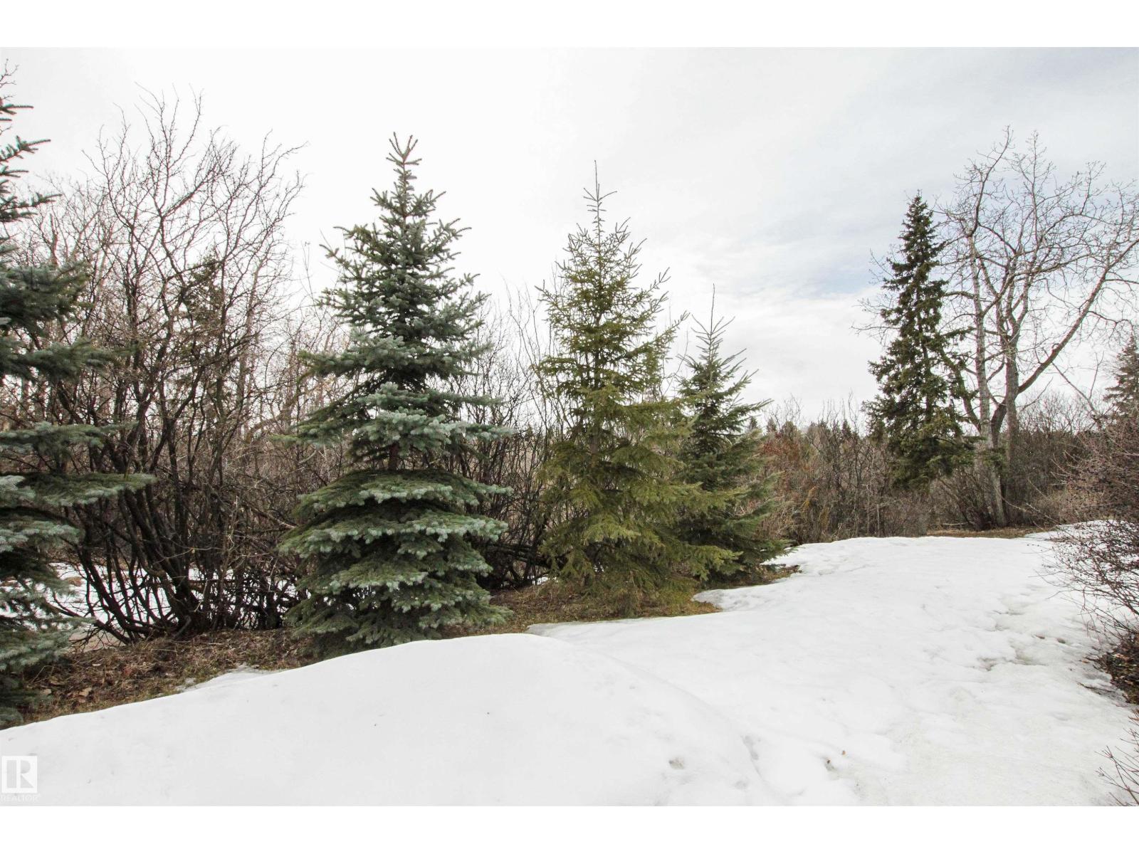 9539 88 Av Nw, Edmonton, Alberta  T6C 1M7 - Photo 38 - E4481233