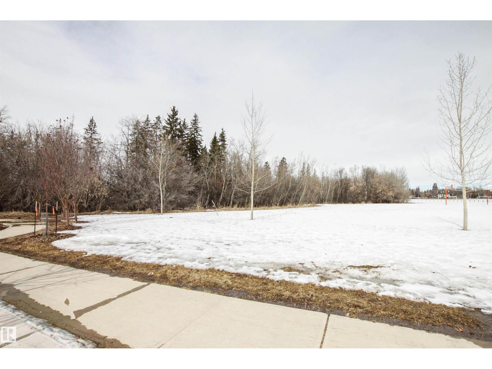 9539 88 Av Nw, Edmonton, Alberta  T6C 1M7 - Photo 39 - E4481233