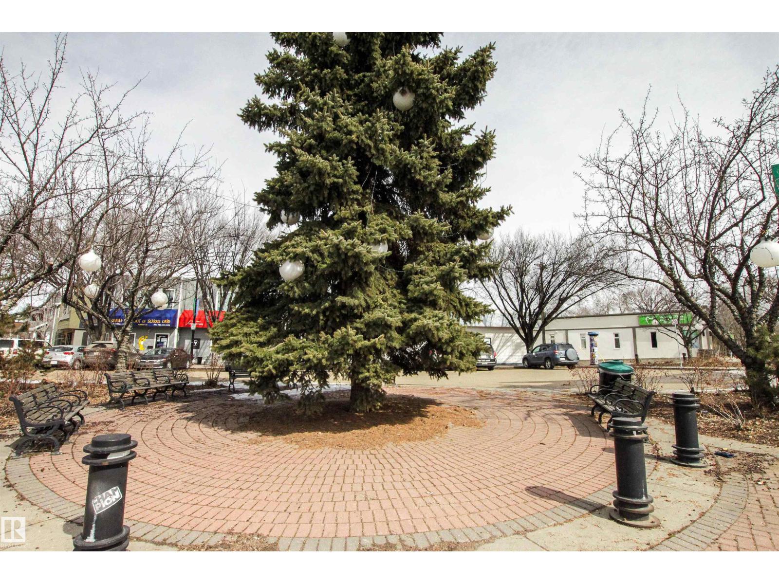 9539 88 Av Nw, Edmonton, Alberta  T6C 1M7 - Photo 41 - E4481233